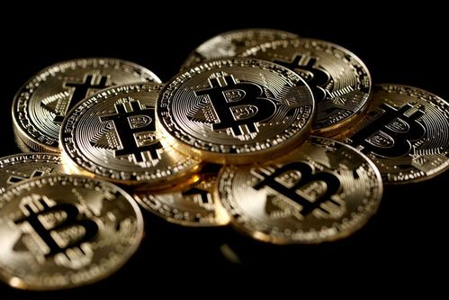 量化交易软件哪个好