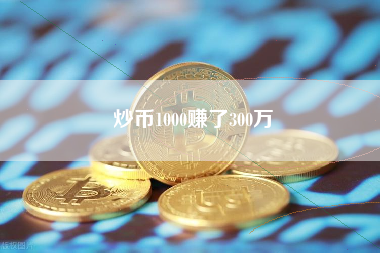 炒币1000赚了300万